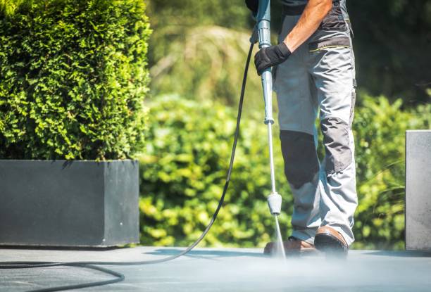 Best House Exterior Washing  in Taos, MO