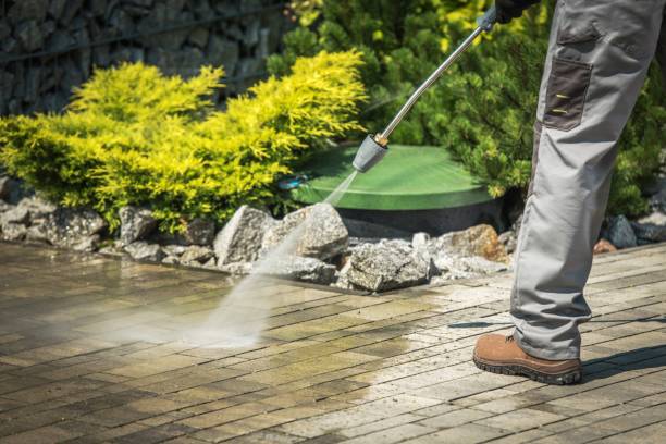 Best Winterizing Services  in Taos, MO